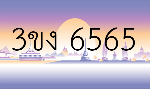 3ขง 6565